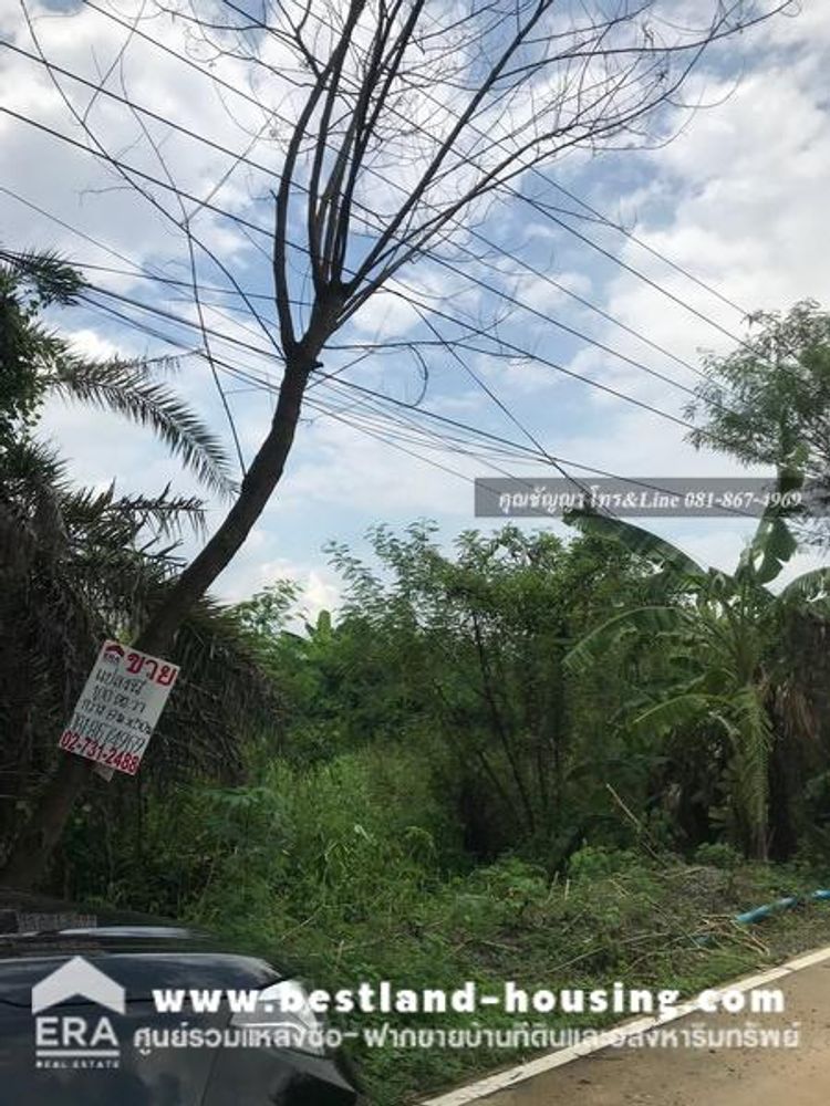 ขาย ที่ดิน ตำบลคลองสาม อำเภอคลองหลวง จังหวัดปทุมธานี, ภาพที่ 4