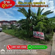 ขายที่ดินถูกมาก ซ.แสมดำ 3 หลังวัดพรหมรังษี ใกล้ถนนพระราม 2 บางขุนเทียน พื้นที่ 40 ตรว. ติดบ้านเช่าสีรุ่ง ล็อก 6 แปลงสวย
