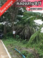 ขาย ที่ดิน ตำบลคลองสาม อำเภอคลองหลวง จังหวัดปทุมธานี