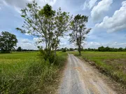 ขาย ที่ดิน ตำบลสีมุม อำเภอเมืองนครราชสีมา จังหวัดนครราชสีมา