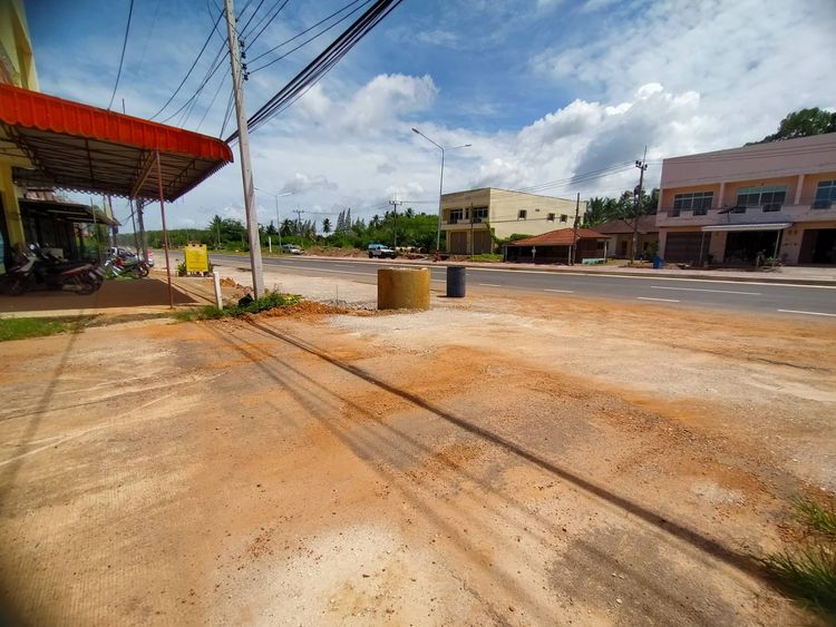 ขาย ที่ดิน ตำบลทุ่งยาว อำเภอปะเหลียน จังหวัดตรัง, ภาพที่ 4