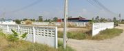 ขาย ที่ดิน ตำบลหนองตำลึง อำเภอพานทอง จังหวัดชลบุรี