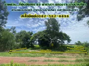 ขายด่วนที่ดินจัดสรร 80ตารางวา  อำเภอบางน้ำเปรี้ยว จังหวัดฉะเชิงเทรา 