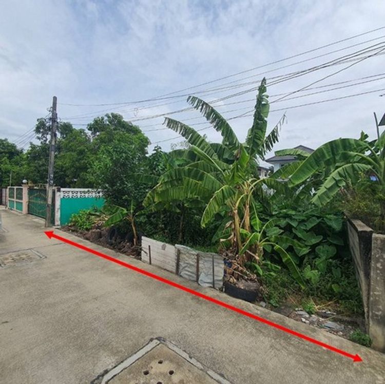 ขายที่ดิน เพรชเกษม 110 แยก 4-3 ราคาถูก ขนาด 78 ตรว. ทำเล หนองค้างพลู , ภาพที่ 4