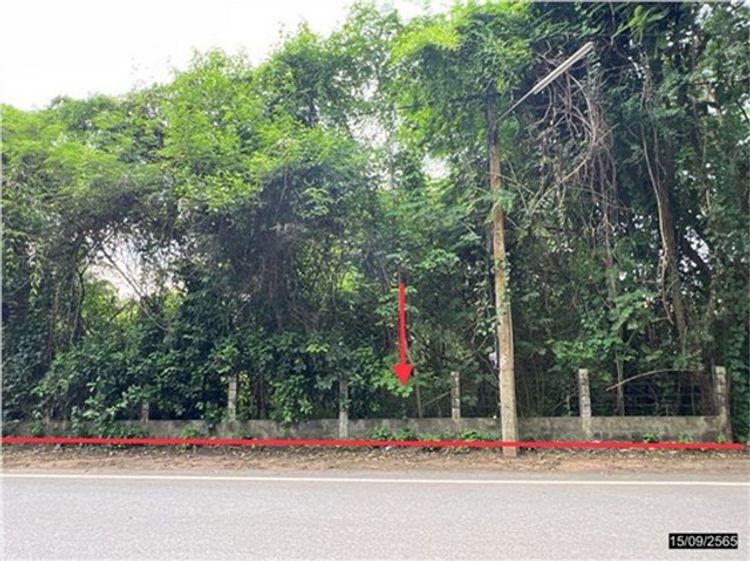 ที่ดินว่างเปล่าใกล้ โรงพยาบาลภูเวียง อำเภอภูเวียง จังหวัดขอนแก่น , ภาพที่ 4