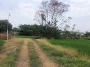 ขายด่วนๆที่ดิน  บางใหญ่  นนทบุรี แปลงนี้บรรยากาศดีมาก จากถนนกาญจนาภิเษก เข้าซอยกันตนา