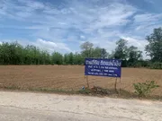 ขาย ที่ดิน ตำบลยางสูง อำเภอขาณุวรลักษบุรี จังหวัดกำแพงเพชร