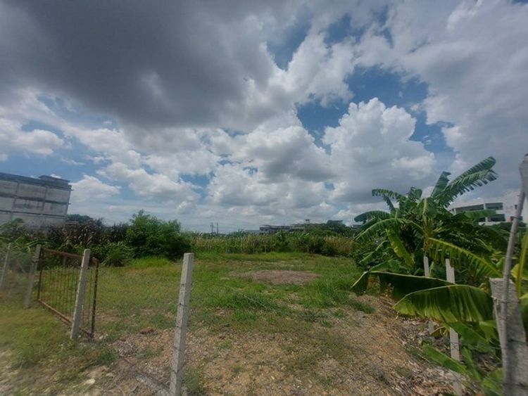 ที่ดินเปล่า ซ.เอกชัย 99/1: 200 ตร.วา. , กว้าง 15.32 ม. ลึก 27.16 ม, ภาพที่ 4