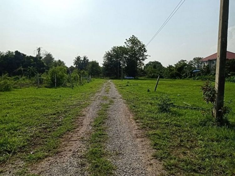 ที่ดิน  บ้านแหวน  หางดง  ขาย 1.6 ล้านเท่านั้น      , ภาพที่ 4