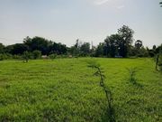 ที่ดิน  บ้านแหวน  หางดง  ขาย 1.6 ล้านเท่านั้น      