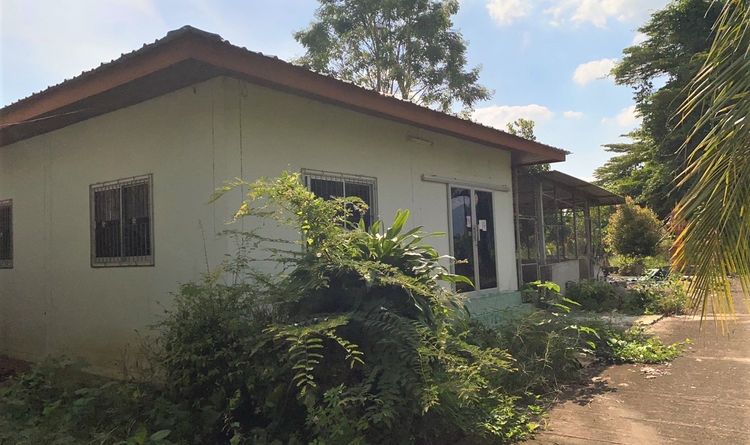 ขายบ้านเดี่ยว        อำเภอสามเงา  ตาก (PKK02-14391), ภาพที่ 4