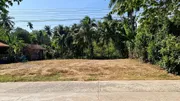 ขายด่วนที่ดิน ต.หนองตะครอง อ.ละหานทราย จ.บุรีรัมย์  3  งาน  72  ตรว