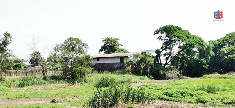 ขาย ที่ดิน 145 วา ถมแล้ว ขายพร้อมสิ่งปลูกสร้าง บ้านและโกดัง, ภาพที่ 4