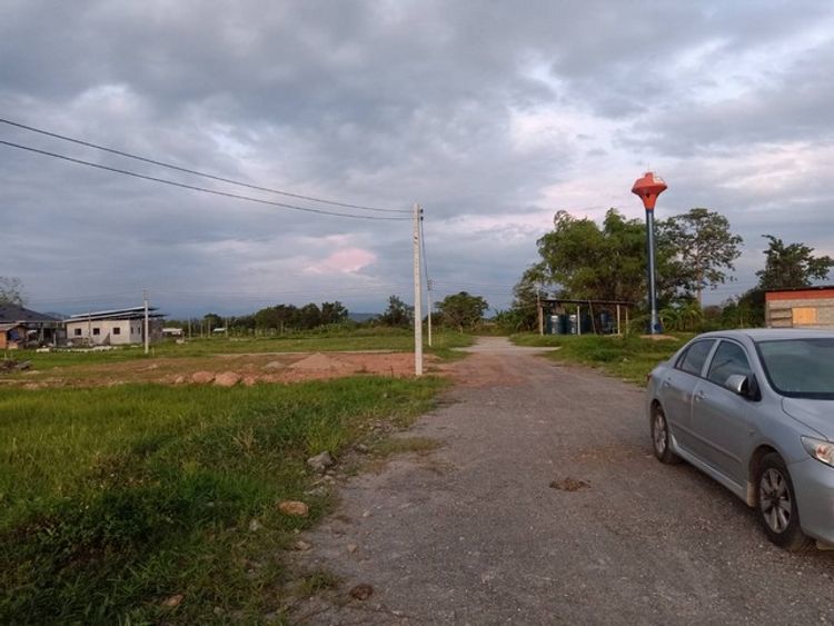 ขายที่ดิน 93 ตรว. 350,000 บาท ถนน น้ำประะปา ไฟฟ้า ต.ป่าลาน อ.ดอยสะเก็ด, ภาพที่ 4