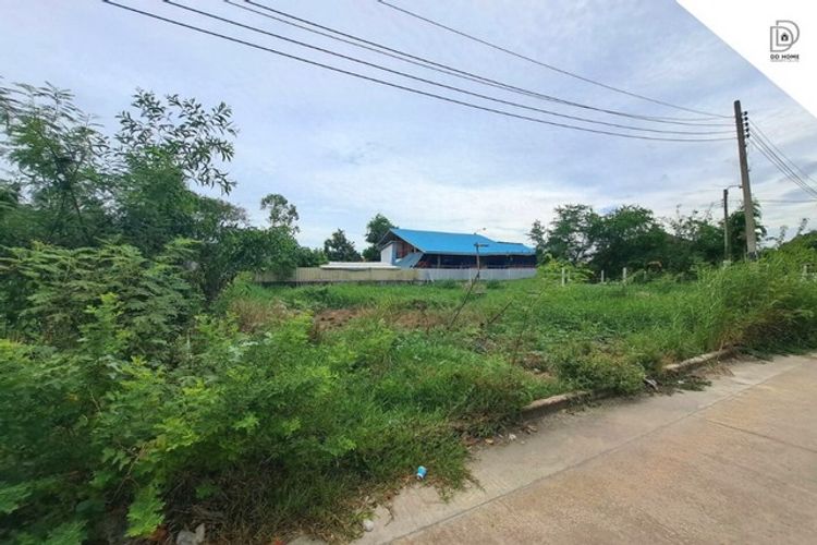 ขายที่ดินหมู่บ้านชัชฏาวิลล่า4 บางแวก ถนนพุทธมณฑลสาย1-2 (DD001357), ภาพที่ 4