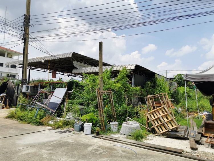 ขาย ที่ดิน ลาซาล54, ภาพที่ 4