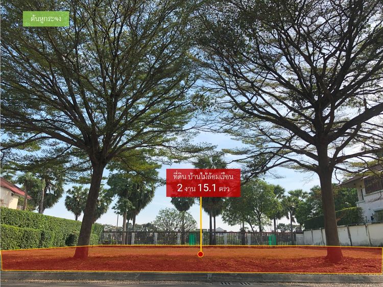 ขายที่ดิน บ้านไม้ล้อมเรือน/พร้อมพันธุ์ ปาร์ค (215 ตรว.) แปลงมุมสุดท้าย, ภาพที่ 4