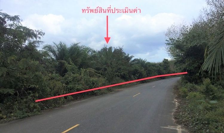 ขายที่ดินว่างเปล่า  อำเภอท่าแพ  สตูล (PKK01-11564), ภาพที่ 4