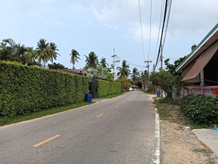 ขายที่ดินเปล่า อ.บางละมุง ถนนบ้านแกรก ตำบลหนองปลาไหล อำเภอบางละมุง 204 , ภาพที่ 4