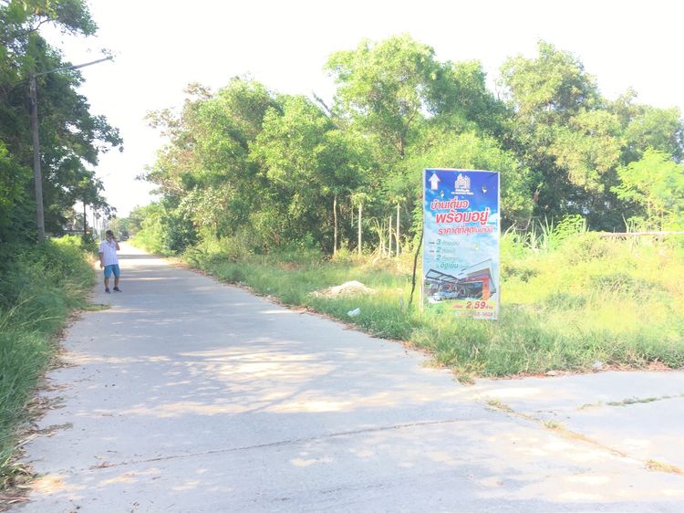 📣🏞 ขายที่ดิน ซอย ปตท.นาเกลือ ถนน สราญรมย์ ต.บานา เมืองปัตตานี 🏞📣, ภาพที่ 4