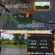 📣🏞 ขายที่ดิน 12 ไร่กว่า ติดถนนใหญ่ แถวเทศบาล ตำบล บ่อทอง อ.หนองจิก จ.ปัตตานี 🏞📣