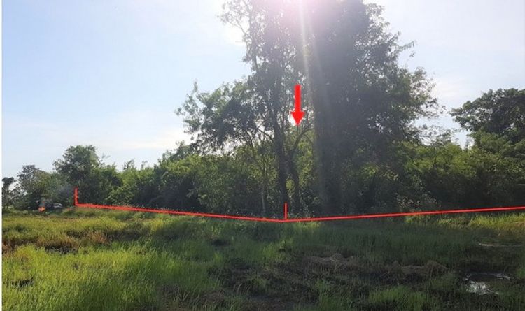 ขายที่ดินว่างเปล่า อำเภอพิชัย อุตรดิตถ์ (PKK01-10384), ภาพที่ 4