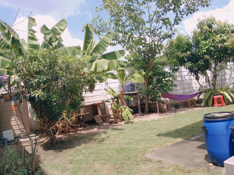 ขาย บ้านเดี่ยว หลังริม‼️ ดีไลท์ รัตนาธิเบศร์-ท่าอิฐ  73.1 ตร.ว. , ภาพที่ 4