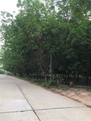 ขาย ที่ดิน ตำบลโพนข่า อำเภอเมืองศรีสะเกษ จังหวัดศรีสะเกษ