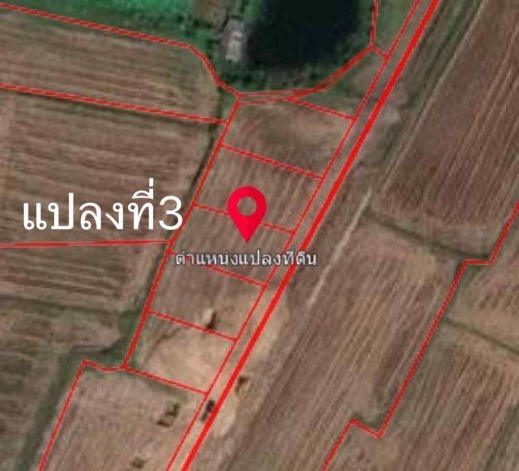 ขายที่ดินถมแล้ว ตารางวาละ5000 บาท  ติดถนนสาธารณะเกือบรอบด้าน จ.สุรินทร์, ภาพที่ 4