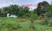 ขายที่ดินว่างเปล่า  อำเภอพระแสง สุราษฎร์ธานี (PKK01-10724)