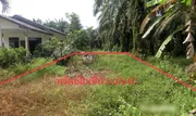 ขายที่ดินว่างเปล่า อำเภอไชยา    สุราษฎร์ธานี (PKK01-10149)