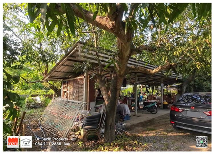  ขายบ้าน สวนผลไม้ พร้อมที่ดิน ราคาถูก 5-1-67 ไร่ ติดถนน อ.บางระจัน , ภาพที่ 4