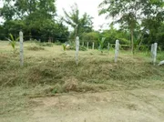 ขายที่ดินเปล่า ถมแล้ว อ.เชียงยืน จ.มหาสารคาม