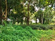 ขายที่ดินสวย บนเนิน ใกล้ ม. แม่ฟ้าหลวง เนื้อที่ 2 ไร่ 2 งาน 96 ตรว. เชียงราย