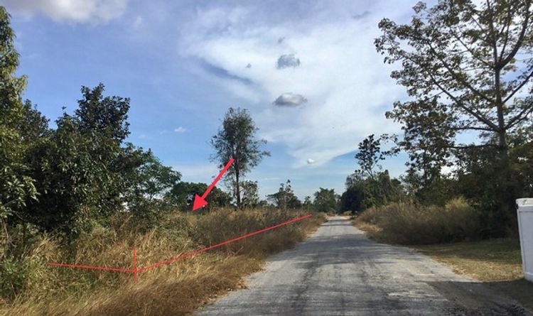ขายที่ดินว่างเปล่า หมู่บ้านโคราชรีสอร์ท นครราชสีมา (PKK01-11825), ภาพที่ 4