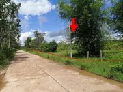 ขายที่ดินว่างเปล่า   อำเภอเมืองบึงกาฬ บึงกาฬ (PKK01-10569)
