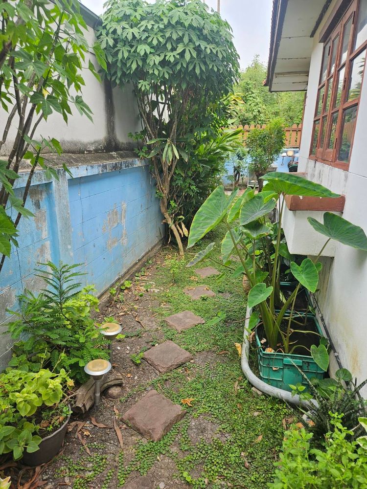 ขาย บ้าน ในโครงการ หมู่บ้านทองสถิตย์ วิลล่า 7 ตำบลคลองใหญ่, ภาพที่ 4