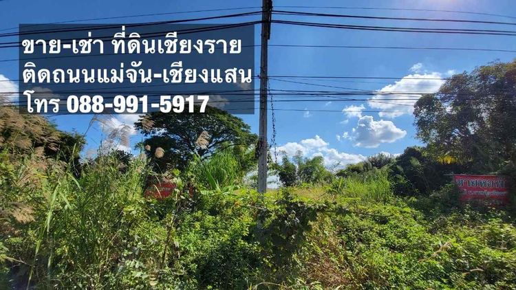 ขาย - เช่า ที่ดิน ใกล้แหล่งชุมชน บ้านบ่อก้าง อ.แม่จัน จ.เชียงราย, ภาพที่ 4