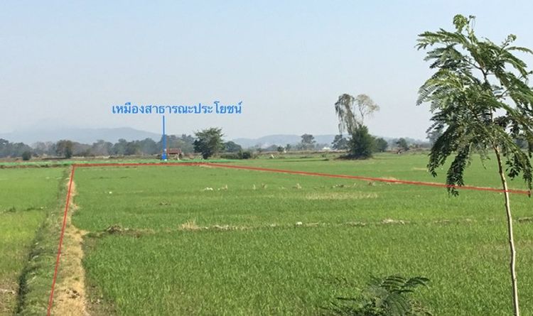 ขายที่ดินว่างเปล่า อำเภอพาน  เชียงราย (PKK01-11864), ภาพที่ 4