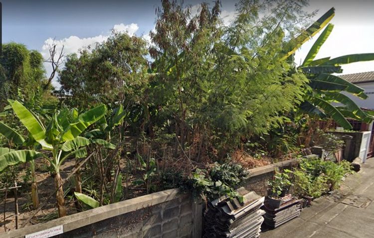ขายที่ดินถมแล้ว 144 ตร.วา ซอยนนทบุรี 31 ใกล้สถานีรถไฟฟ้าสายสีม่วง MRT  , ภาพที่ 4