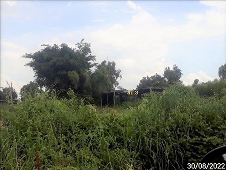 ขายบ้านเดี่ยวใกล้โรงพยาบาลดอนจาน อำเภอดอนจาน จังหวัดกาฬสินธุ์, ภาพที่ 4
