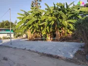 ขาย ที่ดินพร้อมสิ่งปลูกสร้าง ซอยวัดลำโพ บางบัวทอง