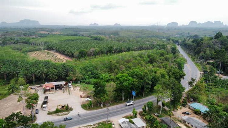 ขายที่ดินติดถนนใหญ่ ตำบลไม้ฝาด อำเภอสิเกา จังหวัดตรัง, ภาพที่ 4