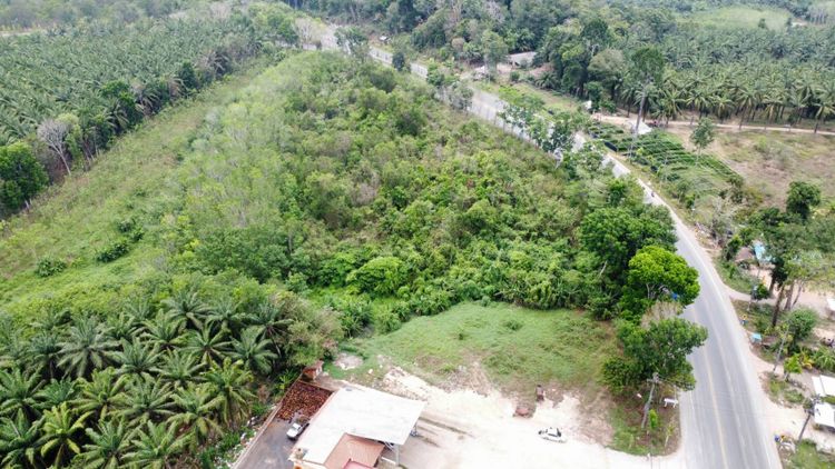 ขายที่ดินติดถนนใหญ่ ตำบลไม้ฝาด อำเภอสิเกา จังหวัดตรัง, ภาพที่ 4