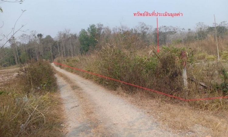 ขายที่ดินว่างเปล่า      อำเภอสอง แพร่ (PKK01-11601), ภาพที่ 4