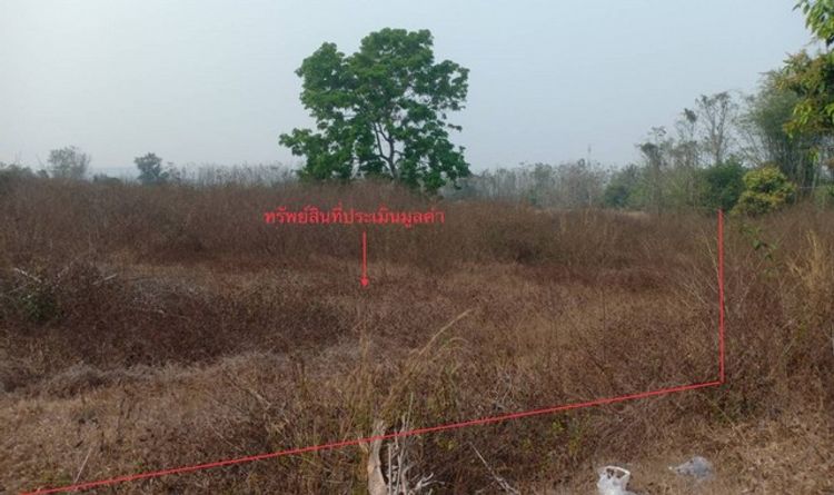 ขายที่ดินว่างเปล่า       อำเภอสอง แพร่ (PKK01-11600), ภาพที่ 4