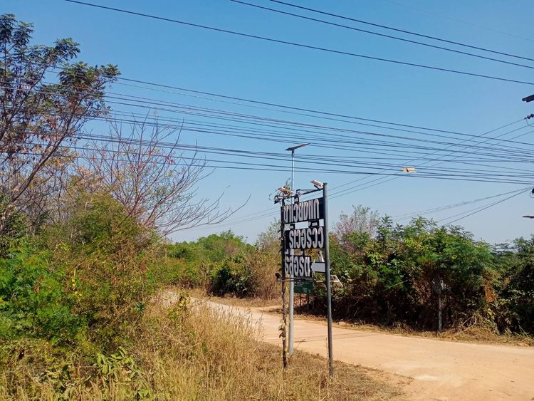 ขายที่ดิน ชานเมืองมุกดาหาร บ้านนาเวียงแก สามารถเดินชมวิวแม่น้ำโขงได้ , ภาพที่ 4