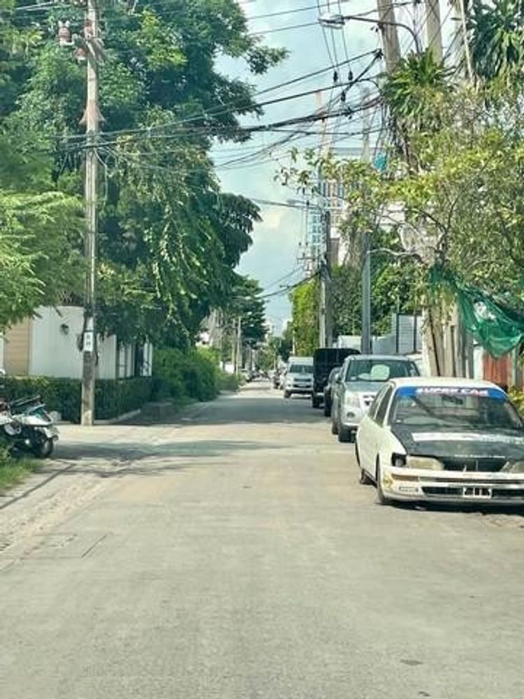 PO1539 ให้เช่า ที่ดิน เนื้อที่ 2 ไร่เศษ ซอยสุขุมวิท 62 BTSบางจาก ใกล้, ภาพที่ 4