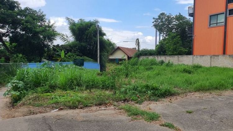 待售建房用地或為生活而建,  土地出售，28,000 泰銖/平方窪，面積 102 平方窪。  #農葵  杭東, ภาพที่ 4