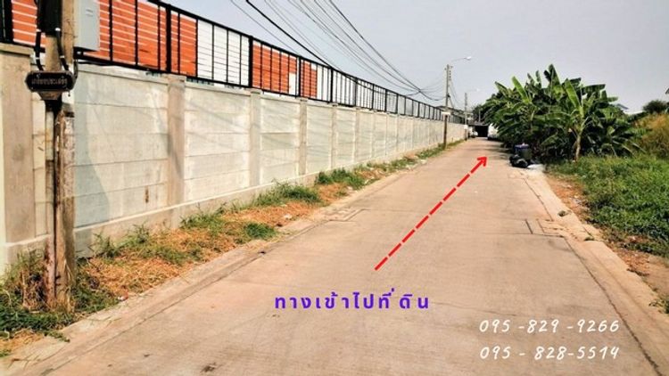 ขายที่ดินถูกถมแล้ว 90 ตรว. ติดถนนซอยเกรียงประเสริฐ กว้าง 6 เมตร ไฟฟ้า, ภาพที่ 4